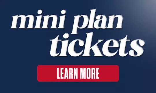 Mini Plan Tickets