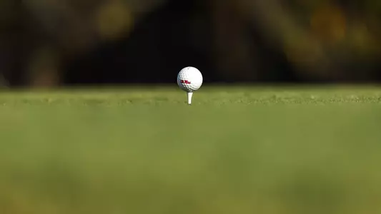 Golf Ball