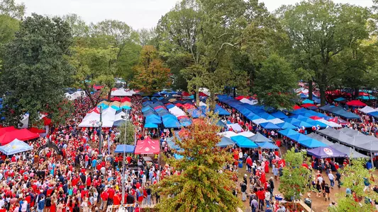 The Grove - 2024
