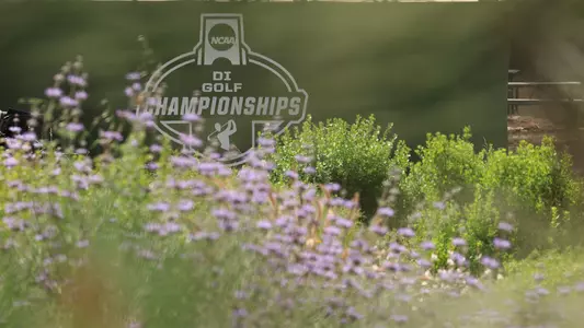 NCAA Golf Championships