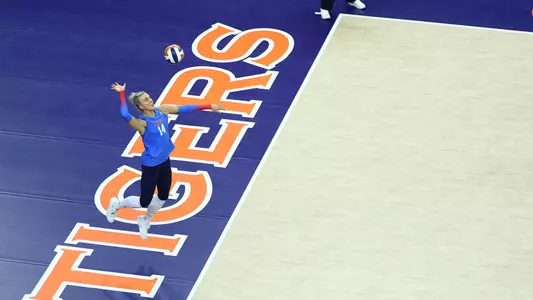 Shayla Meyer_Auburn_Web