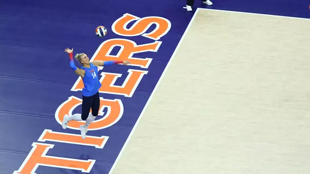 Shayla Meyer_Auburn_Web