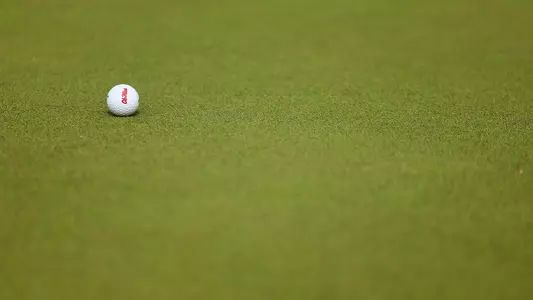 Ole Miss Golf Ball