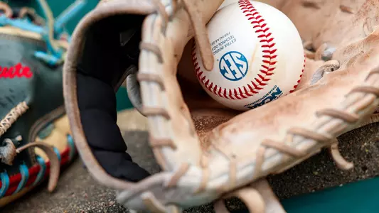 Baseball Glove
