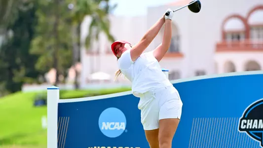 SvarvarNCAA