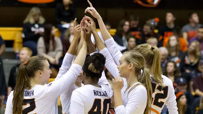 Volleyball Signs Kory Cheshire