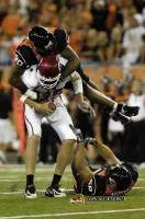 FeverFest Activities for Spring Game Set