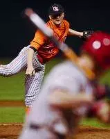 2008 Baseball Season In Review