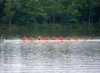 Men's Crews Race to Top 10 Finishes