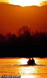 No. 17 Men's Crew to Row at San Diego Crew Classic