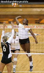 Volleyball Falls at Arizona