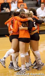 Volleyball Aces Spring Term