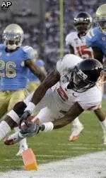 Beavers Downed In Los Angeles