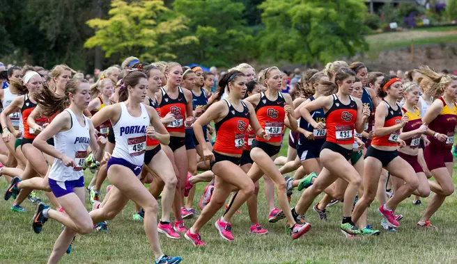 Cavalluzzo takes second at Viking Classic