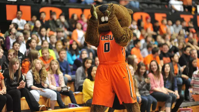 WBB Summer Camp Registration Open