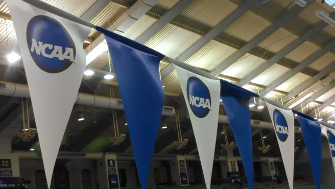 Harrison Places 41st in 500 Freestyle