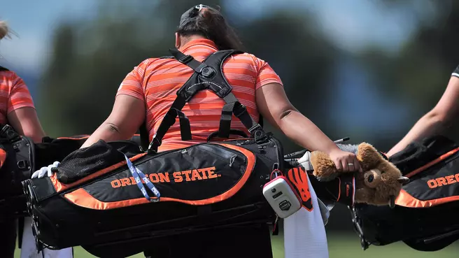 Playing and Practice Seasons