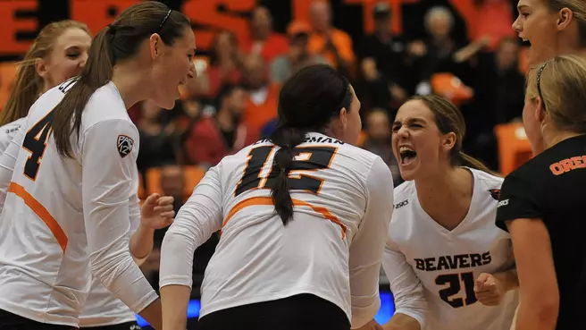 Volleyball Announces '14 Slate; 12 On TV