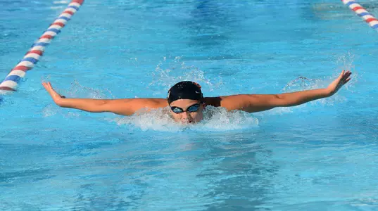 Toulemonde, Constance 2014