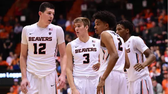 Men's Basketball Team