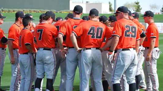 The Beavers