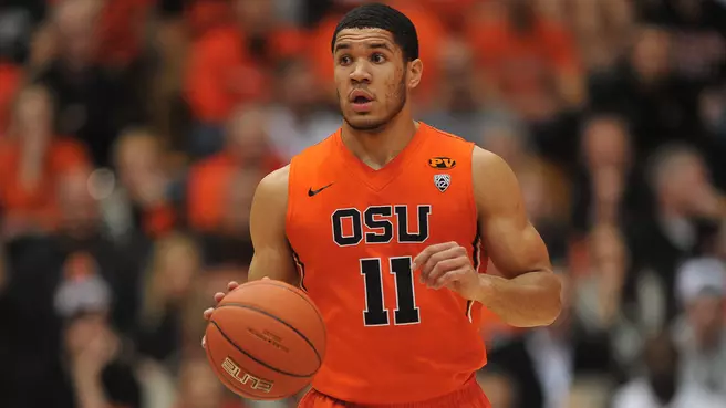 Duvivier Ready For Beavers Without Borders