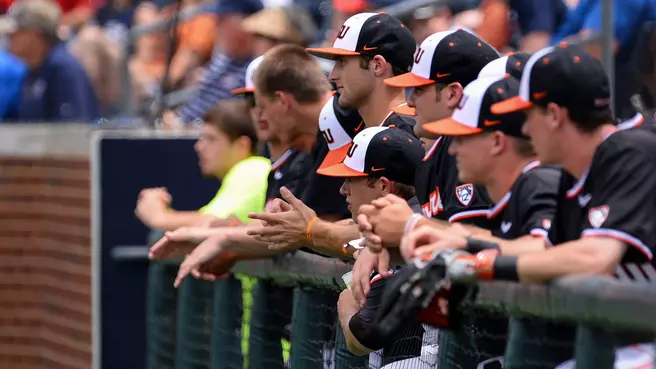 2015 Baseball Season In Review