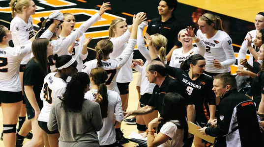 OSU Volleyball Team 2014