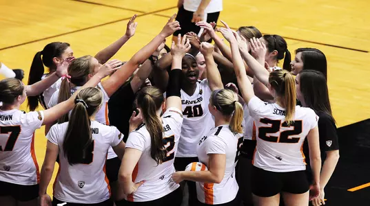 OSU Volleyball Team 2014 2