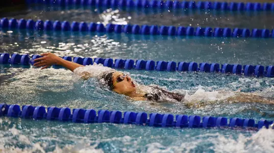 Amr, Amani vs. Utah 2016