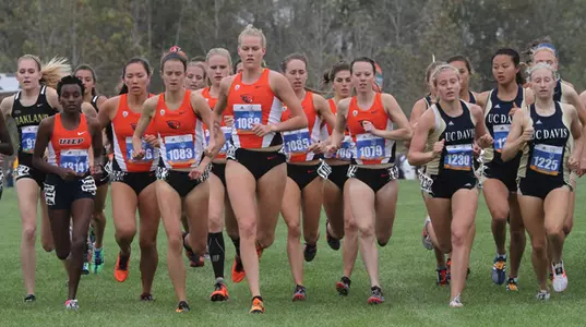 OSU cross country