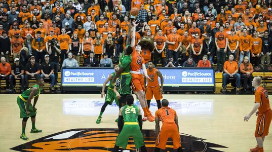 Men's Basketball Team