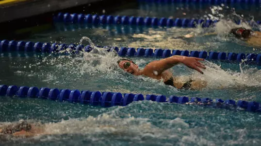 Harrison, Sammy 2015-16