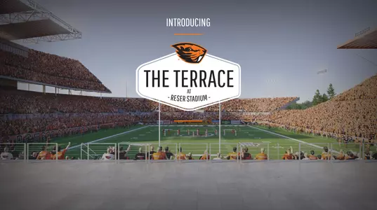 The Terrace