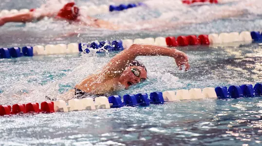 Harrison, Sammy vs. Utah 2015-16