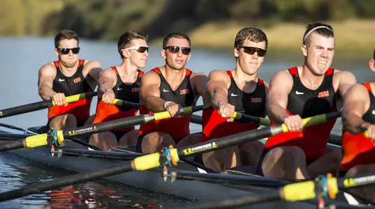 JV8 - Dominic DeCarlo