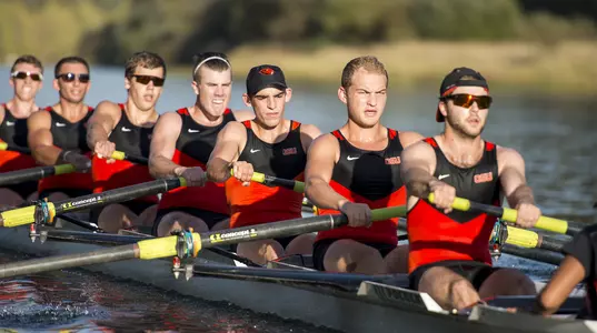 JV8