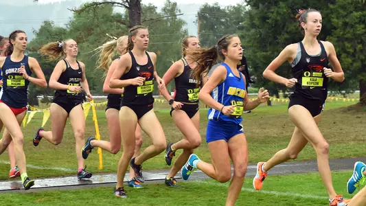 Kopecek, Ledsham (Dellinger)