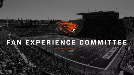 Fan Experience Committee