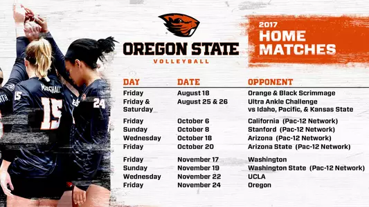 2017 VB Schedule graphic