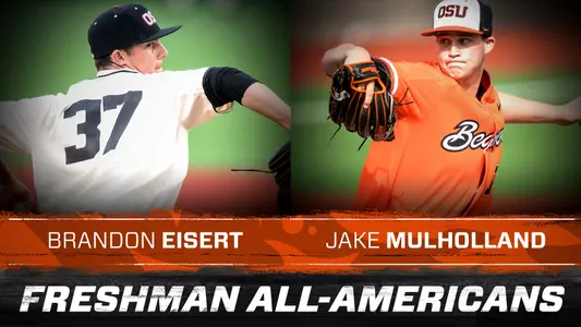 Eisert and Mulholland