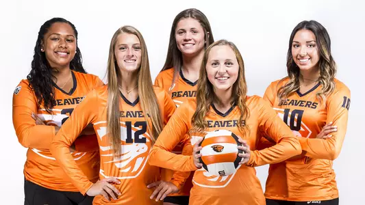 2017 Newcomers