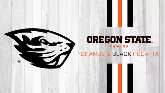 Orange & Black Regatta