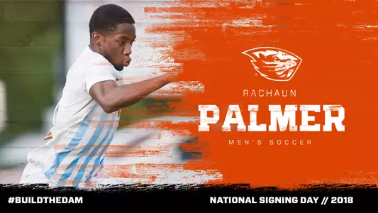 NSD Palmer MSOC