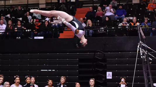 Shireen Khamedoost bars