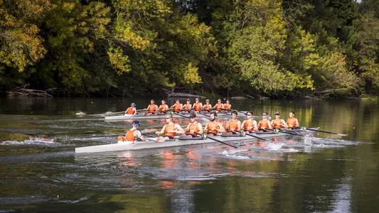 V8 & JV8