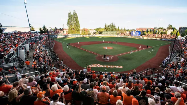 2019 Oregon State Baseball Media Guide