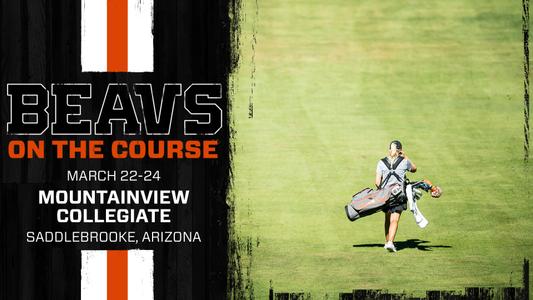 MountainView Collegiate