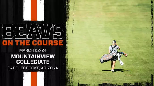 MountainView Collegiate