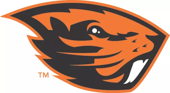 Beaver Logp